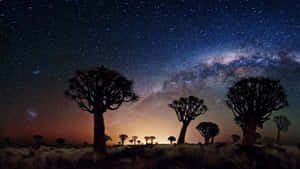 Stars Computer