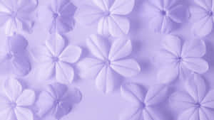 Pattern Floreale Viola