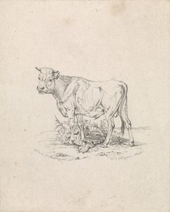 Stier by Frederik Lodewijk Huygens, created 1812 - 1878, in paper; etching; engraving. Download this artwork as a high-resolution wallpaper for desktop, tablet, — Frederik Lodewijk Huygens Wallpaper