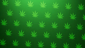 Grönt cannabisbladsmönster på gradient grön bakgrund. — Stoner Bakgrundsbilder