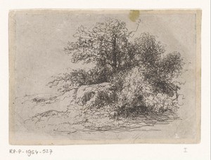 Struikgewas by Jean Alexis Achard, created 1817 - 1884, in paper; etching. Download this artwork as a high-resolution wallpaper for desktop, tablet, or mobile. — Jean Alexis Achard Wallpaper