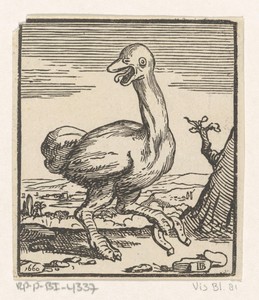 Struisvogel by Dirck de Bray, created 1660, in paper; houtsnede. Download this artwork as a high-resolution wallpaper for desktop, tablet, or mobile. — Dirck de Bray Wallpaper