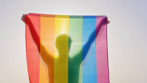 Person holding rainbow flag with arms raised in celebration. — Subtle Lgbt Picture