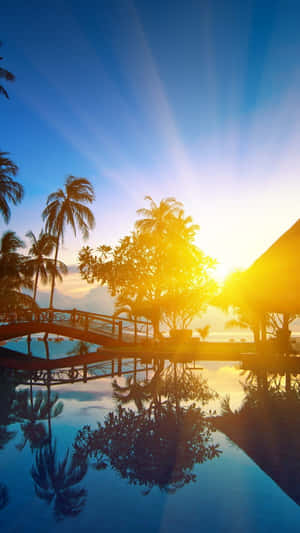 Atardecer sobre piscina tropical con palmeras y reflejo de puente de madera — Lindo verano en iPhone Fondos de pantalla