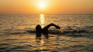 A swimmer backstroking at sunset, golden hues, calm ocean