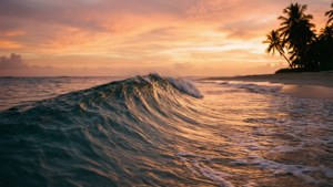 Eine Welle an einem verlassenen Strand bei Sonnenuntergang, warme Farben, Palmsilhouetten, romantische Ruhe.