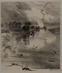 Swallows by Félix Henri Bracquemond, created 1882, in Etching and drypoint on ivory laid paper. Download this artwork as a high-resolution wallpaper for desktop — Félix Henri Bracquemond Wallpaper