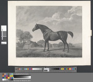 Sweetbrier by George Townley Stubbs, in Etching and stipple engraving on medium, slightly textured, cream wove paper. Download this artwork as a high-resolution — George Townley Stubbs Wallpaper