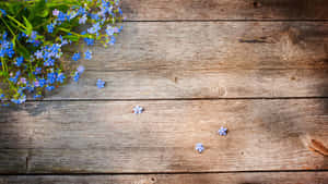 Blue forget-me-not flowers rest on a rustic wooden surface. — Table Picture