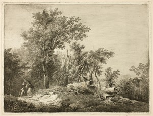 The Fallen Tree Trunk by Martin von Molitor, created n.d., in Etching on paper. Download this artwork as a high-resolution wallpaper for desktop, tablet, or mob — Illustration Wallpaper