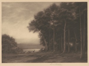 The Forest by Percival Gaskell, created c. 1922, in mezzotint in black with chine collé on wove paper. Download this artwork as a high-resolution wallpaper for — Percival Gaskell Wallpaper