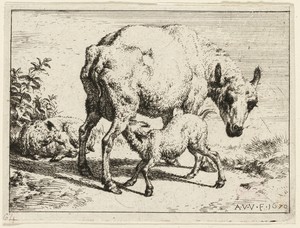 The Lamb by Adriaen van de Velde, created 1670, in Etching in black on ivory wove paper. Download this artwork as a high-resolution wallpaper for desktop, table — Illustration Wallpaper