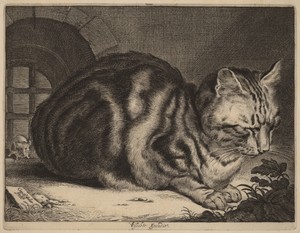 The Large Cat by Cornelis Visscher (II), created c. 1657, in engraving on laid paper. Download this artwork as a high-resolution wallpaper for desktop, tablet, — Cornelis Visscher (II) Wallpaper