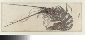 The Lobster by Katsushika Hokusai, created c. 1800 - c. 1810, in paper; color woodcut; nishiki-e. Download this artwork as a high-resolution wallpaper for deskt — Katsushika Hokusai Wallpaper