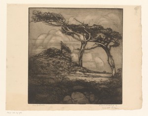 The ostrich by Robert Bartholow Harshe, created 1889 - 1938, in paper; etching; intaglio printmaking technique; aquatint. Download this artwork as a high-resolu — Robert Bartholow Harshe Wallpaper