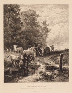 The Returning Herd by Peter Moran, created c. 1885, in etching. Download this artwork as a high-resolution wallpaper for desktop, tablet, or mobile. — Peter Moran Wallpaper