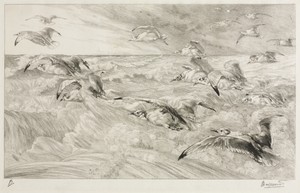 The Seagulls by Félix Bracquemond, created c. 1880, in etching. Download this artwork as a high-resolution wallpaper for desktop, tablet, or mobile. — Art Picture