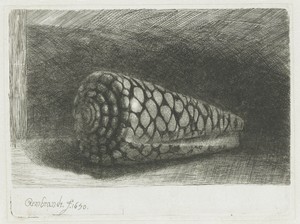 The shell by Rembrandt van Rijn, created 1650, in paper; etching; burijn; drypoint. Download this artwork as a high-resolution wallpaper for desktop, tablet, or — Rembrandt van Rijn Wallpaper