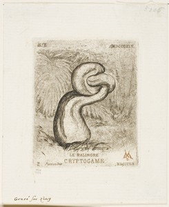 The Sickly Cryptogam by Charles Meryon, created 1860, in Etching, with plate tone, in black ink on ivory laid paper, printing à la poupée in red ink. Download t — Illustration Wallpaper