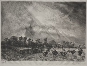 The Storm Cloud by Félix Bracquemond, created 1878–1887, in etching. Download this artwork as a high-resolution wallpaper for desktop, tablet, or mobile. — Félix Bracquemond Wallpaper