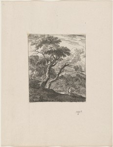 The Two Great Trees by Joachim Franz Beich, created c.1700-1725, in etching on laid paper. Download this artwork as a high-resolution wallpaper for desktop, tab