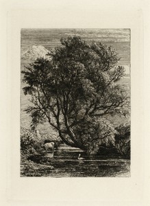 The Willow by Samuel Palmer, created n.d., in Etching in black on paper. Download this artwork as a high-resolution wallpaper for desktop, tablet, or mobile. — Illustration Wallpaper