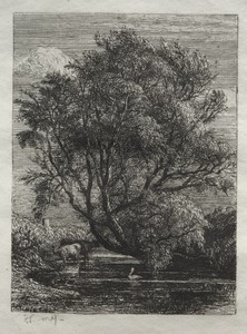 The Willow by Samuel Palmer, created 1850, in etching. Download this artwork as a high-resolution wallpaper for desktop, tablet, or mobile. — Art Picture