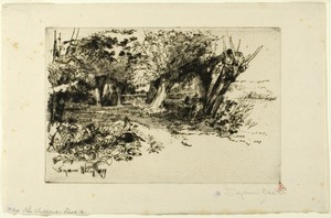 The Willows by Francis Seymour Haden, created c. 1877, in Drypoint on ivory laid paper. Download this artwork as a high-resolution wallpaper for desktop, tablet — Illustration Wallpaper