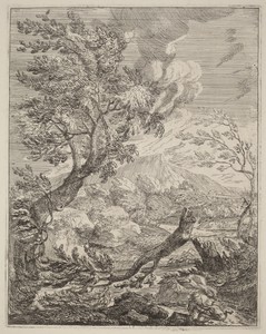 The Withered Tree by Crescenzio Onofri, created 1696, in etching. Download this artwork as a high-resolution wallpaper for desktop, tablet, or mobile.