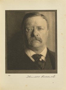Theodore Roosevelt by Alvin Langdon Coburn, created negative April 1, 1907; print 1913. Download this artwork as a high-resolution wallpaper for desktop, tablet