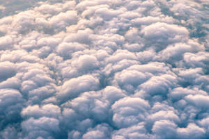 Stort felt af luftige hvide skyer, der gløder med gyldent lys under en bleg blå himmel. — Cloud9 Wallpapers