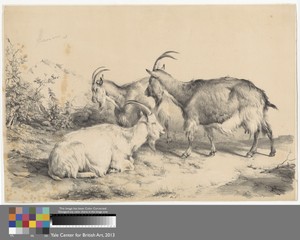 Three Goats by Thomas Sidney Cooper, in Lithograph on thick, slightly textured, cream wove paper. Download this artwork as a high-resolution wallpaper for deskt — Thomas Sidney Cooper Wallpaper