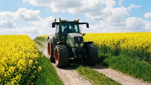 En Fendt-traktor på en vei mellom knallgule rapsåkre.