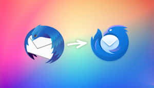 Blue bird logo transforming into a modern envelope icon on colorful gradient background.
