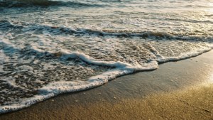 Seafoam patterns on wet sand at golden hour.