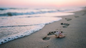 Bølger vasker bort fotspor på en strand ved daggry, med et skjell som markerer slutten på en reise.