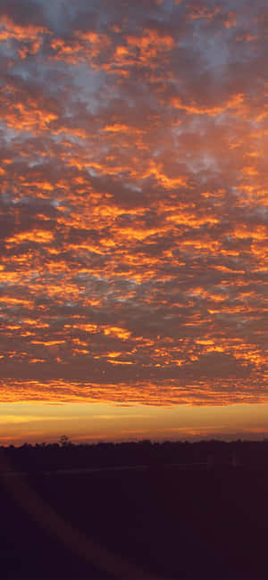 Vibrant orange and red sunset clouds over a dark treeline silhouette. — Sunset Cloud Wallpaper