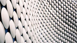 Close-up of white oval architectural panels in a repeating geometric pattern.
