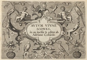 Title Page by Adriaen Collaert, created c. 1600, in engraving on laid paper. Download this artwork as a high-resolution wallpaper for desktop, tablet, or mobile — Adriaen Collaert Wallpaper