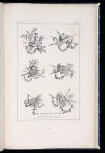 Title Page by Pierre Ranson, created 1779–90, in Etching on paper. Download this artwork as a high-resolution wallpaper for desktop, tablet, or mobile. — Pierre Ranson Wallpaper