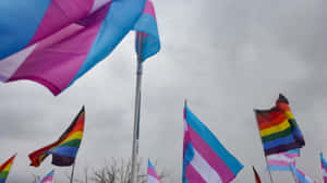 Flags of pride waving in the wind on a cloudy day.