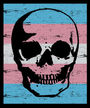 Black skull graphic on transgender flag with distressed texture. — Trans Pride Picture