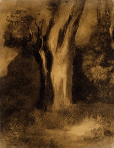 Tree by Odilon Redon, created c. 1875, in Black charcoal with touches of brown charcoal, stumping, scraping and erasing, on ivory wove paper, discolored to crea — Odilon Redon Wallpaper