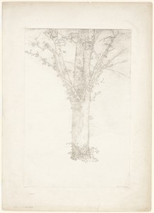 Tree by Odilon Redon, created 1892, in Lithograph in black on cream China paper laid down on ivory wove paper. Download this artwork as a high-resolution wallpa — Odilon Redon Wallpaper