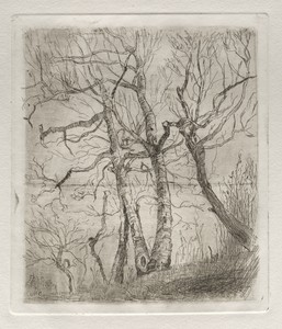 Trees by Otto H. Bacher, created 1878, in etching. Download this artwork as a high-resolution wallpaper for desktop, tablet, or mobile. — Otto H. Bacher Wallpaper