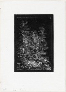 Trees by Henri Joseph Harpignies, created 1848, in Etching printed in relief on ivory wove paper. Download this artwork as a high-resolution wallpaper for deskt