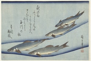 Trout by Ando Hiroshige, created 1830 - 1840, in paper; mica; color woodcut. Download this artwork as a high-resolution wallpaper for desktop, tablet, or mobile — Ando Hiroshige Wallpaper