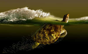 Havskildpadde svømmer under en brydende bølge med sollys og bobler. — Havskildpadde Æstetik Wallpapers
