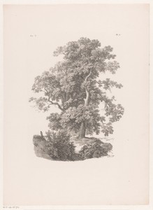 Twee bomen by Barend Cornelis Koekkoek, created 1829 - 1845, in paper; lithography. Download this artwork as a high-resolution wallpaper for desktop, tablet, or
