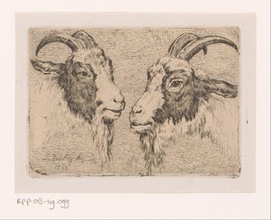 Twee geitenkoppen by Jean Louis Van Kuyck, created 1862, in paper; chine collé; etching; intaglio printmaking technique. Download this artwork as a high-resolut — Jean Louis Van Kuyck Wallpaper